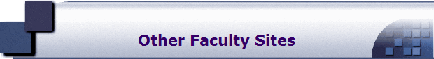 Other Faculty Sites